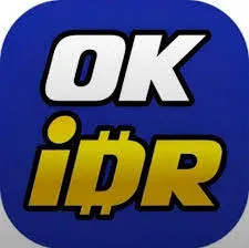OKIDR - Petualangan Aksi Penuh Tantangan